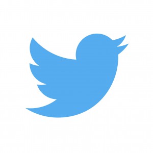 Twitter-Logo