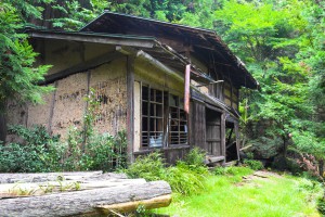 茶平-こちらはかなり荒れた家の様子